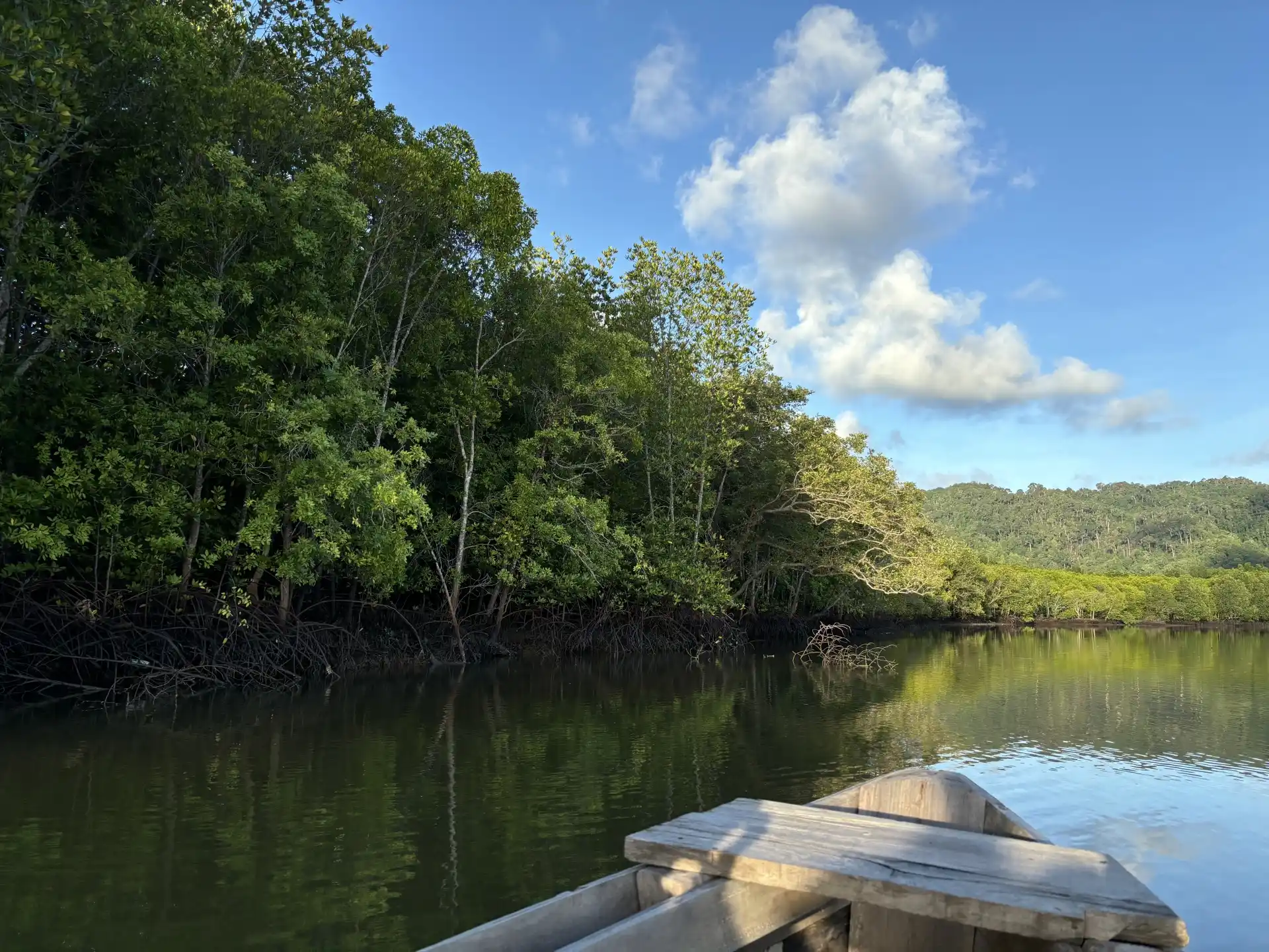 Southeast Asian forest and river — Social Contribution image